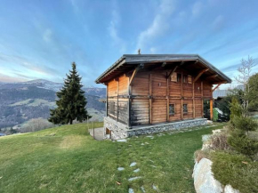 Chalet de caractère pour 12 pers, 165m², 5 chambres, cheminée, hammam, babyfoot, proche des Saisies. - FR-1-733-76